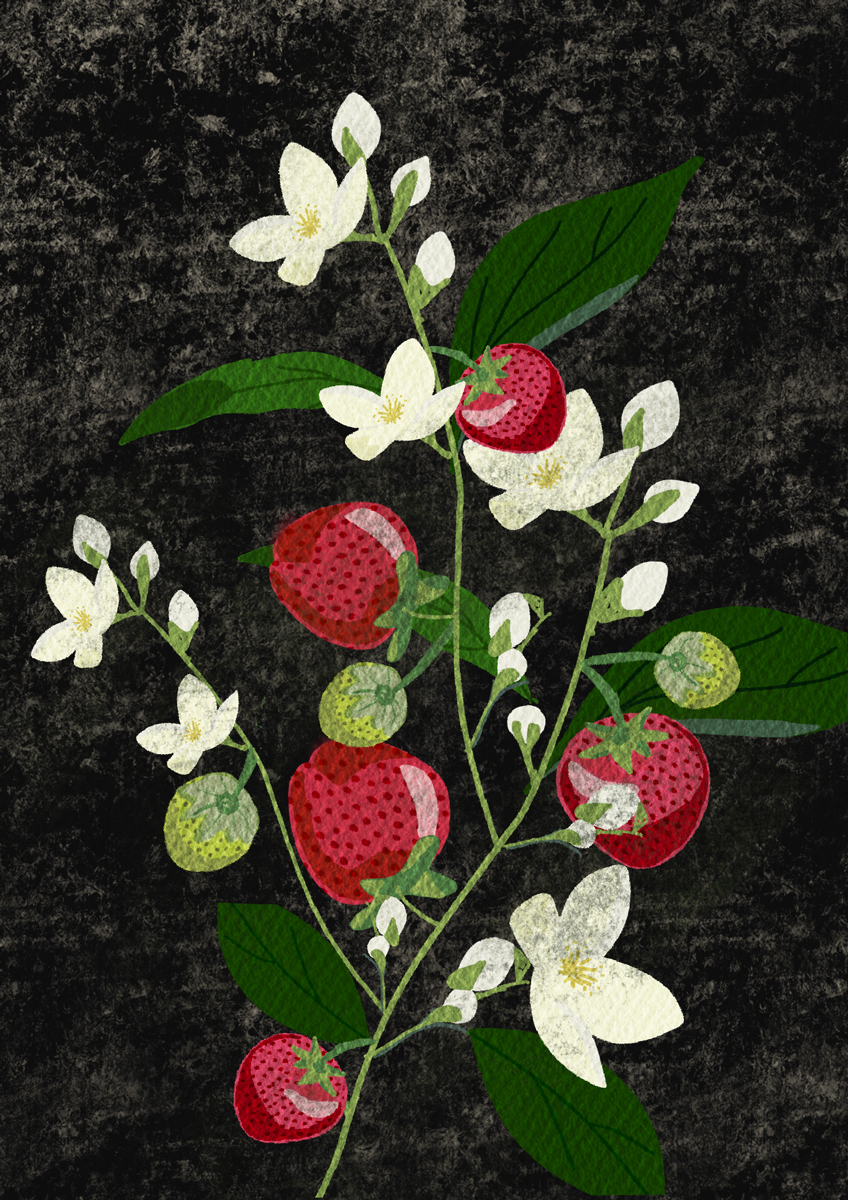 #23 Strawberry